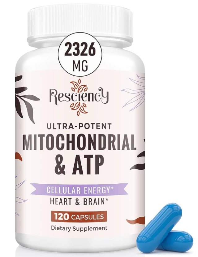 Mitochondrial & ATP